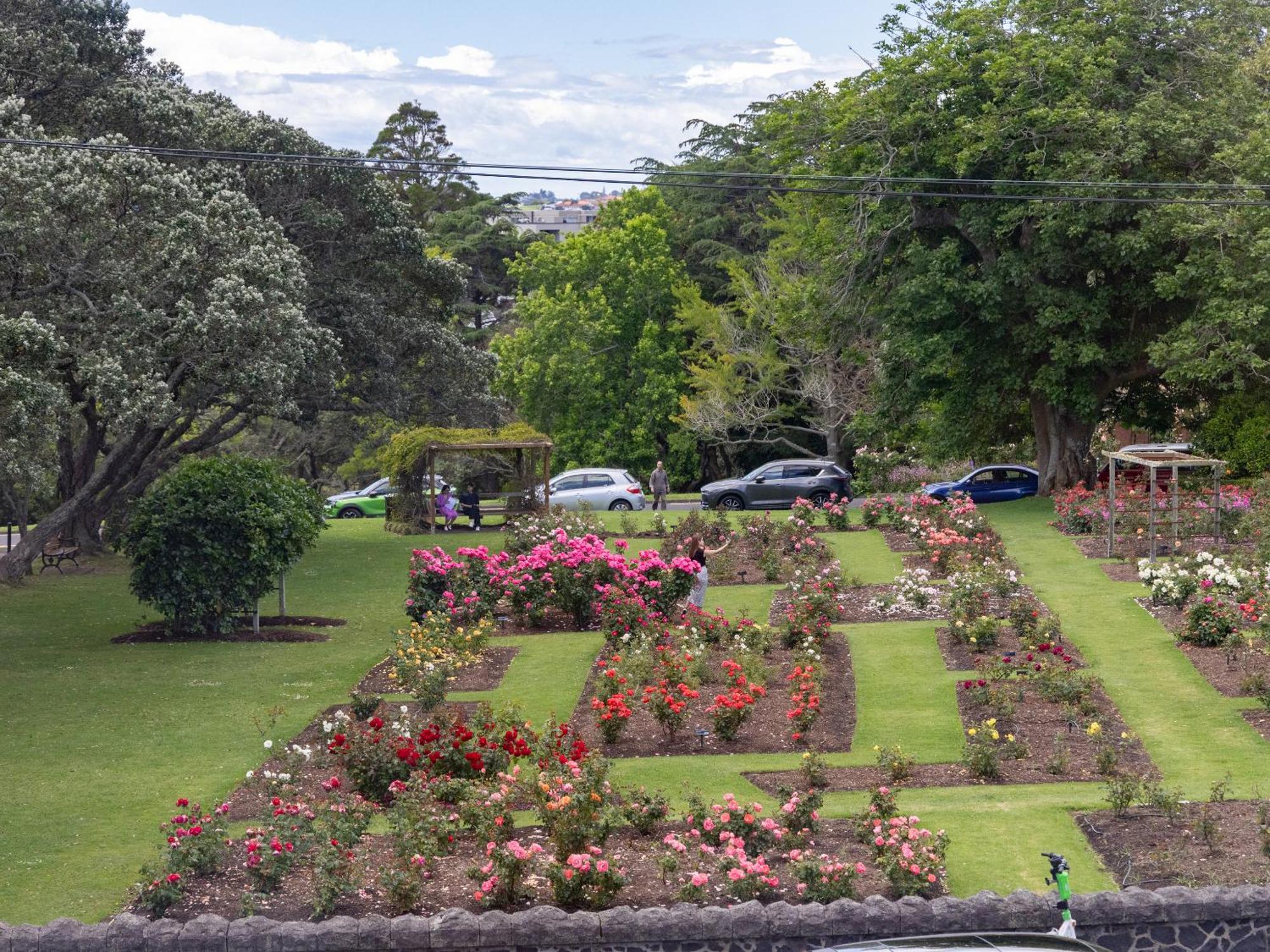 Auckland Rose Park Hotel Exterior photo